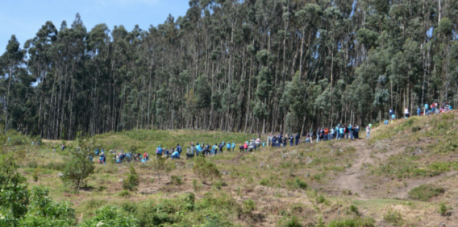 San Cristóbal se la juega por el medio ambiente San Cristóbal se la juega por el medio ambiente