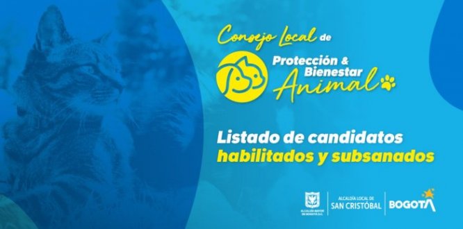 Consejo PYBA