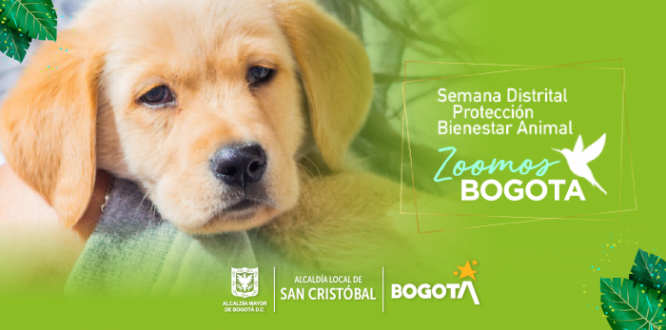 Semana PYBA Semana PYBA