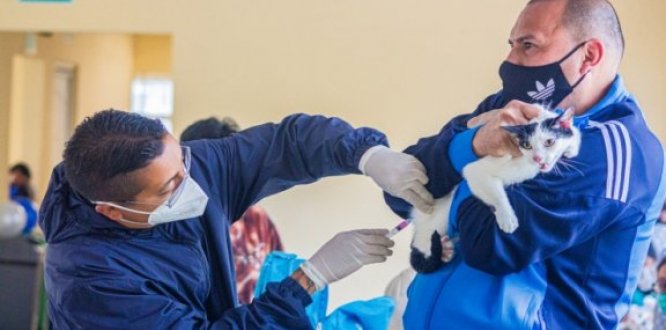 Semana PYBA 3 Semana PYBA 3