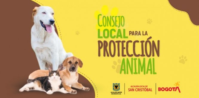 Consejo PYBA