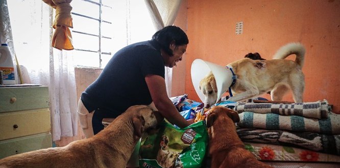 2000 kilos de alimento recolectado para animales rescatados en San Cristóbal