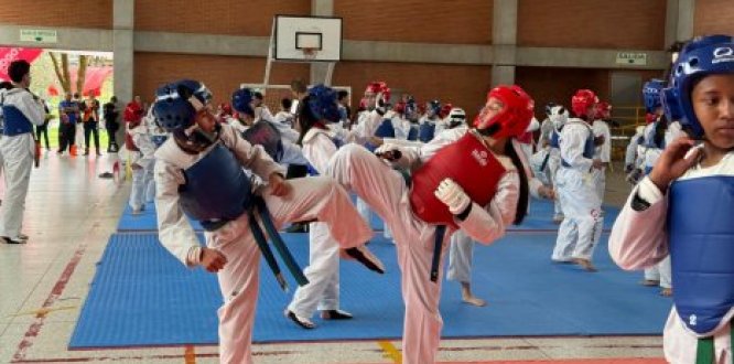 jovenes entrenando disciplina taekwondo jovenes entrenando disciplina taekwondo