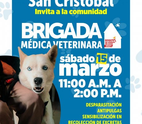Brigada Médica Veterinaria en San Cristóbal: Atención Gratuita para Mascotas de la Comunidad